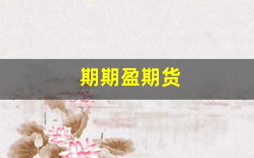 期期盈期货(期盈投资)_https://www.eamstsz.com_上交所_第1张