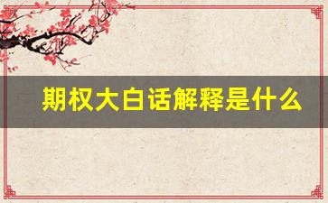 期权大白话解释是什么(期权手续费一览表)_https://www.tuogunzhijia.com_内盘期货_第1张