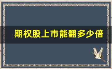 期权股上市能翻多少倍股票(期权股上市后就可以拿到钱了吗)_https://www.wanyuyiyao.com_深交所_第1张