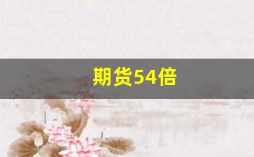 期货54倍(期货14.5万倍)_https://www.jumanxin.com_上交所_第1张