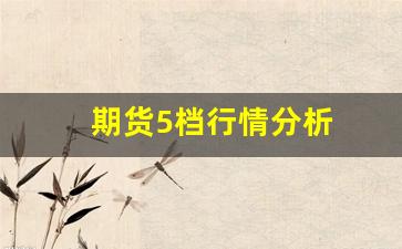 期货5档行情分析(期货5档行情是什么意思)_https://www.rzcpcj.com_直通车_第1张