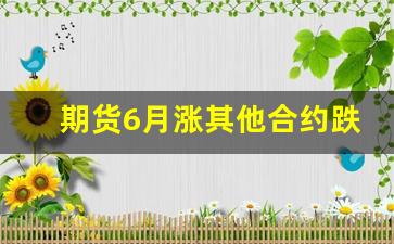 期货6月涨其他合约跌(期货合约涨跌幅)_https://www.wguangz.com_大商所_第1张