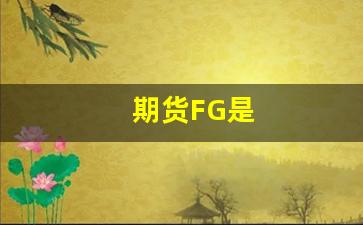 期货FG是(期货fnd是什么意思)_https://www.hn-life.com_北交所_第1张