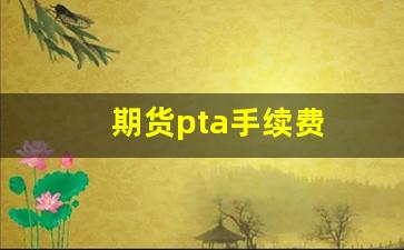 期货pta手续费(上证50期货手续费)_https://www.jumanxin.com_上交所_第1张