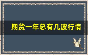 期货一年总有几波行情大涨(期货市场一年有多少个交易日)_https://www.gfdzclz.com_北交所_第1张