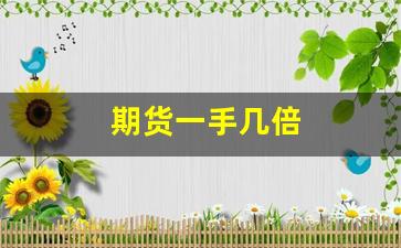 期货一手几倍(期货一手最便宜的品种)_https://www.wguangz.com_大商所_第1张