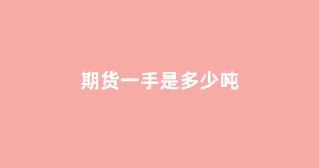 期货一手是多少吨(商品期货一手一览表)_https://www.eamstsz.com_深交所_第1张