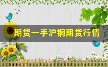 期货一手沪铜期货行情(沪铜期货一手几吨)_https://www.fzdzcxj.com_深交所_第1张