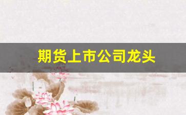 期货上市公司龙头(期货龙头企业)_https://www.hhem8.com_创业板_第1张