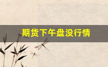 期货下午盘没行情(期货下午收盘后为什么价格还有变动)_https://www.qldgs.com_内盘期货_第1张