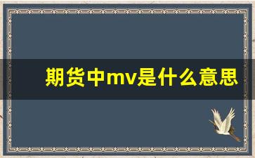 期货中mv是什么意思啊(期货中mv是什么意思啊英文)_https://www.hn-life.com_上交所_第1张