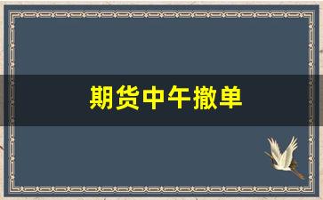 期货中午撤单(期货中午撤单有影响吗)_https://www.xzdzcjn.com_深交所_第1张