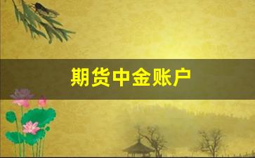 期货中金账户(中金期货交易)_https://www.dcjwmf.com_大商所_第1张
