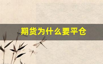 期货为什么要平仓(期货为什么平仓这么慢)_https://www.fzdzcxj.com_上交所_第1张