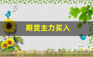 期货主力买入(期货主连和主力合约的区别)_https://www.lclxwz.com_郑商所_第1张