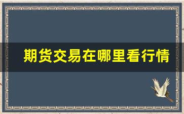 期货交易在哪里看行情(在哪里可以看期货交易)_https://www.tuogunzhijia.com_纳指期货_第1张