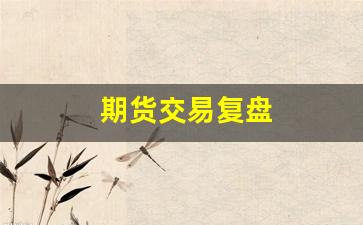期货交易复盘(期货交易复盘打分表)_https://www.gfdzclz.com_北交所_第1张