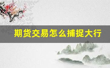 期货交易怎么捕捉大行情(期货交易怎么捕捉大行情信息)_https://www.senxinmaoyi.com_邮政编码_第1张