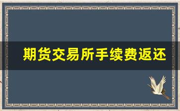 期货交易所手续费返还(期货交易所手续费返还期货公司)_https://www.jnskb.com_装修流程_第1张