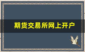 期货交易所网上开户(怎么在期货交易所开户)_https://www.wanyuyiyao.com_科创板_第1张
