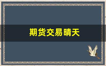 期货交易晴天(期货交易规则视频大全)_https://www.taocizhiliang.com_装修流程_第1张