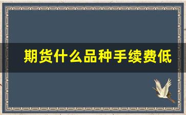 期货什么品种手续费低(期货什么品种手续费最低)_https://www.fzdzcxj.com_创业板_第1张