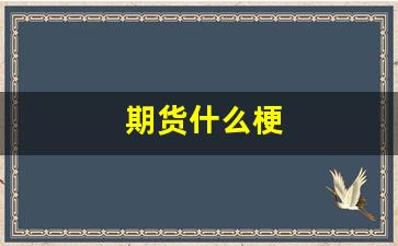期货什么梗_https://www.hhem8.com_北交所_第1张