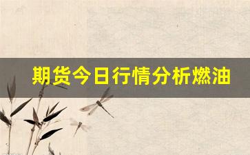 期货今日行情分析燃油(今天期货燃油行情)_https://www.fzdzcxj.com_创业板_第1张