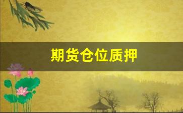 期货仓位质押(期货仓位质押流程)_https://www.fzdzcxj.com_创业板_第1张