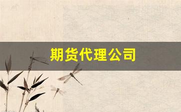 期货代理公司(期货代理公司成立条件)_https://www.luoxuangg888.com_上交所_第1张
