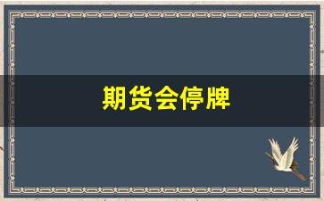 期货会停牌(期货停牌规则)_https://www.xzdzcjx.com_科创板_第1张