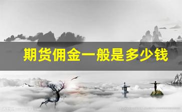 期货佣金一般是多少钱(期货佣金一般是多少钱啊)_https://www.xzdzcjx.com_北交所_第1张