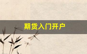 期货入门开户(期货入门基础知识)_https://www.gfdzclz.com_上交所_第1张