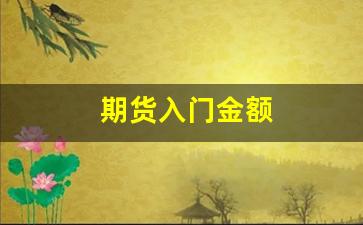 期货入门金额(期货的入门资金是多少)_https://www.eamstsz.com_上交所_第1张