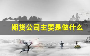 期货公司主要是做什么的(期货公司主要是做什么的工作)_https://www.fzdzcxj.com_创业板_第1张
