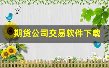 期货公司交易软件下载(期货交易软件使用说明)_https://www.hbxfywj.com_证券知识_第1张