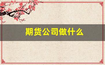 期货公司做什么(期货公司做什么的)_https://www.wguangz.com_上期所_第1张