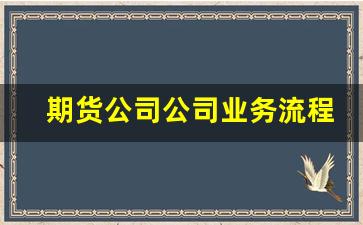 期货公司公司业务流程(期货公司是如何运营的)_https://www.wanyuyiyao.com_创业板_第1张
