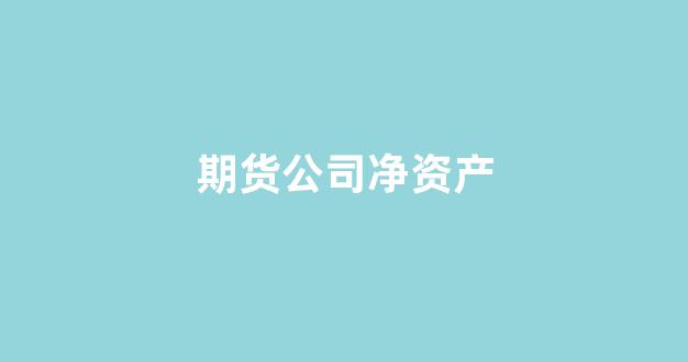 期货公司净资产(期货公司净资产怎么算)_https://www.xzdzcjn.com_科创板_第1张