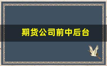 期货公司前中后台(期货公司有前途吗)_https://www.wguangz.com_郑商所_第1张