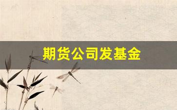 期货公司发基金(期货公司 基金)_http://www.hanbangwangye.com_中金所_第1张
