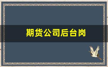 期货公司后台岗(期货公司后勤是做什么的)_https://www.gfdzclz.com_创业板_第1张