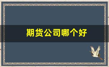 期货公司哪个好(期货国内什么公司好)_https://www.gfdzclz.com_创业板_第1张