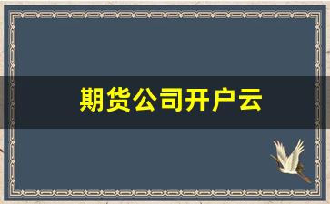 期货公司开户云(期货公司开户云代码)_https://www.fzdzcxj.com_科创板_第1张