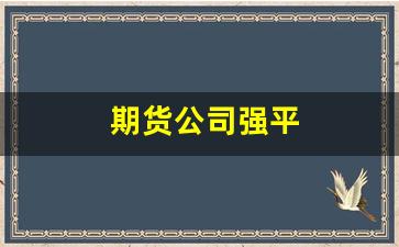 期货公司强平(期货公司强平线是多少)_https://www.qldgs.com_国际期货_第1张