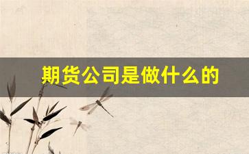 期货公司是做什么的(期货公司是干啥的)_https://www.lclxwz.com_郑商所_第1张