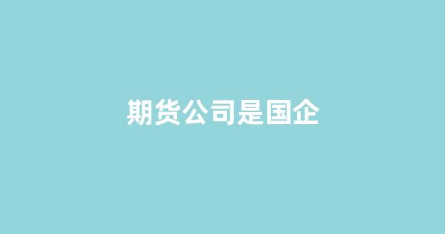 期货公司是国企(期货公司是国企吗)_https://www.wguangz.com_郑商所_第1张