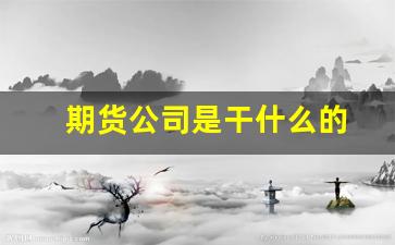 期货公司是干什么的(期货公司是什么公司)_https://www.syklpowerbike.com_科创板_第1张