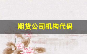 期货公司机构代码(期货公司代码大全)_https://www.hhem8.com_创业板_第1张
