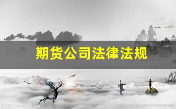 期货公司法律法规(期货相关法律法规)_https://www.hangfeite.com_深交所_第1张